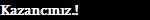 Kazanc�n�z.!